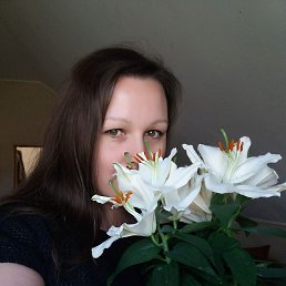 , 37 , 