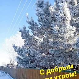 ���, ����, 40 ���