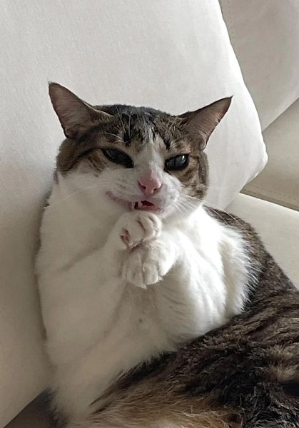   - 2