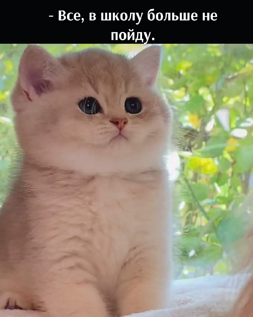 ��� ���� � ����� �� �� - 21 ������� 2025 � 17:28