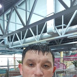 , 38, -