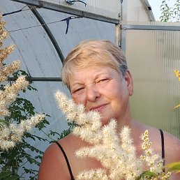 ���� ��������, �����������, 65 ��� - ��������� 26 �������� 2025