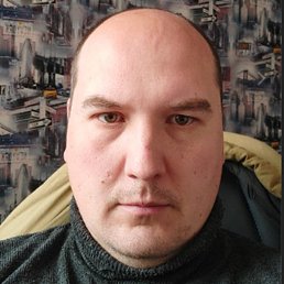 �����, �������, 41 ���