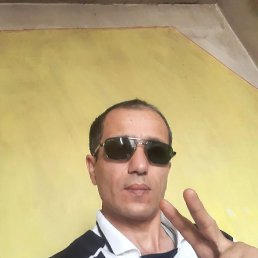 , 33, 