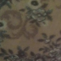 ������, ���������, 49 ���