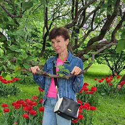 ���� ��������, �����-���������, 61 ��� - ��������� 8 ������ 2024