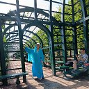  ,  -  5  2025       ,    ,     .