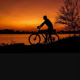 ˸��, ��������, 28 ���