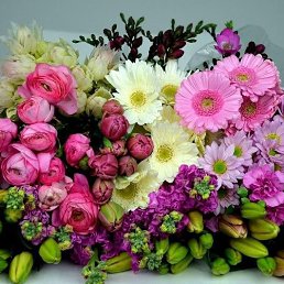 ���� �������, �������, 34 ���� - ��������� 12 ��� 2025