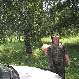 ���������, ����, 71 ���