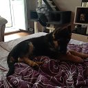 ���� ���, ������ - ��������� 17 ������ 2025 � ������ �������