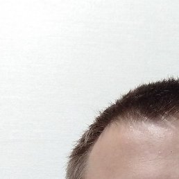 Den, ������, 29 ���