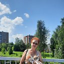 ���� ��������, �����, 53 ���� - ��������� 12 ������� 2026 � ������ ���� ����������