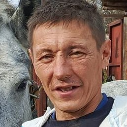 �����, ���������, 38 ���