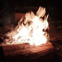 ���� �������, ��������, 50 ��� - ��������� 14 ������� 2025 � ������ ���� ����������