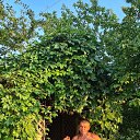 ���� �������, ����, 45 ��� - ��������� 15 ������� 2026