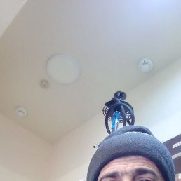 ���, 48 ���, ����