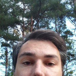 ���� ������, �����-���������, 41 ��� - ��������� 12 ������� 2023