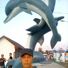 , 57, 