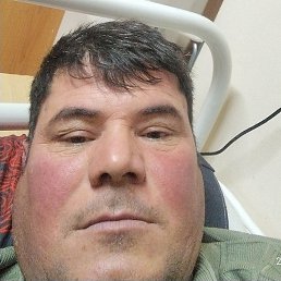 �����, ������ ��������, 41 ���