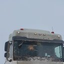 ���� ������, ���������, 51 ��� - ��������� 24 ������� 2024