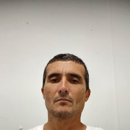 , 49, 