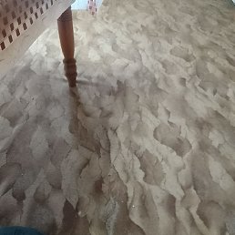 ����, ���������, 47 ���