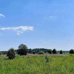 �������, ������, 46 ���