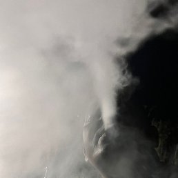 �����, ������, 43 ����