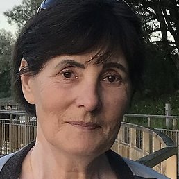 ������, ����������, 66 ���