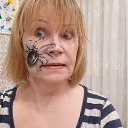 ���� ����, �����-���������, 62 ���� - ��������� 14 ������� 2025 � ������ ���� ����������