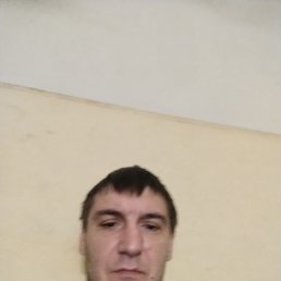 ������, 41 ���, �������