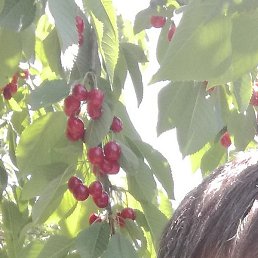 Ruslan, ������, 49 ���