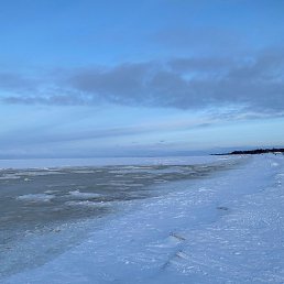 ��������, ������, 43 ����