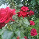 ���� �����, ������, 64 ���� - ��������� 6 ������� 2026 � ������ ������ ��������