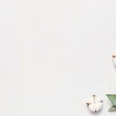 ���� ��������, ���������, 52 ���� - ��������� 21 ������ 2024 � ������ ���� ����������