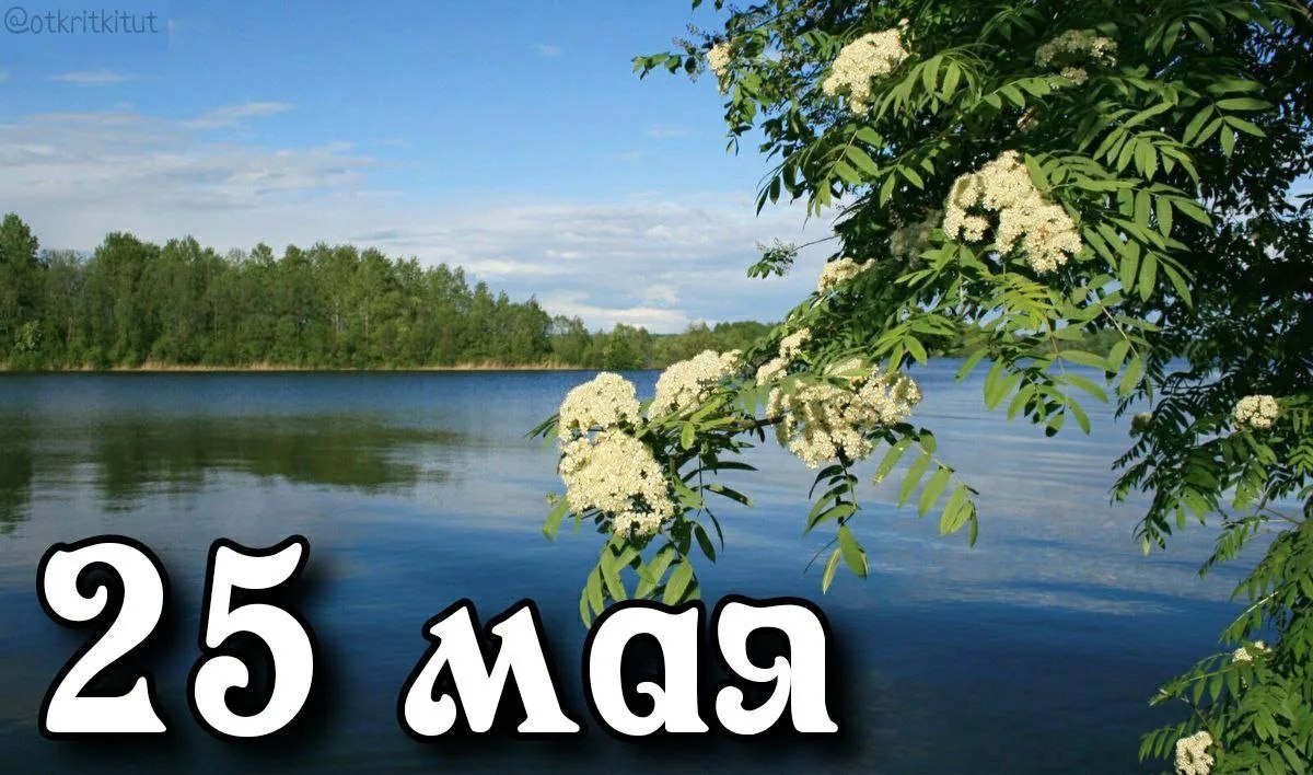 ��e����: �����, ������, �����, ����, ����, �����, ������, �����, ������, ��.