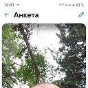 ���� ���� �������, ������������, 45 ��� - ��������� 2 ����� 2025