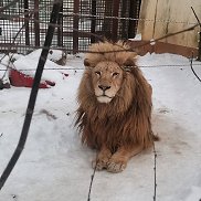 Анатолий, 42 года, Липецк Анатолий, 42 года, Липецк