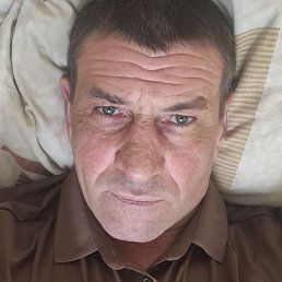 �����, ���������, 40 ���