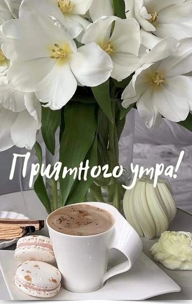 Мечтая каждый день о чуде, мы забываем об одном - нас чудо ежедневно будит восходом солнца за окном. ...