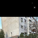 ���� ����, �������, 38 ��� - ��������� 10 ����� 2024 � ������ ���� ����������