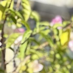 Yann, ����, 32 ����