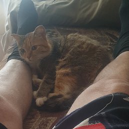 ���� ��������, ������, 21 ��� - ��������� 30 ������� 2024