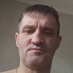 �����, ������, 40 ���