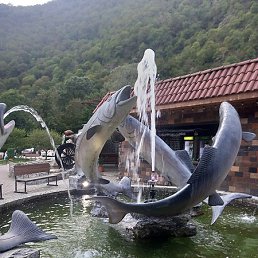 ��������, ������, 44 ����