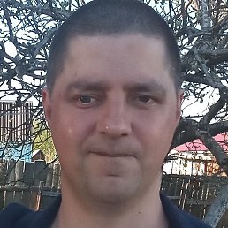 ������, ������, 41 ���