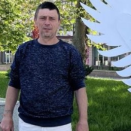 , 41, 