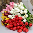 ���� �n, ������ - ��������� 2 ��� 2026 � ������ ������ ��������