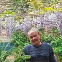���� Vaja, �������, 59 ��� - ��������� 4 ��� 2025 � ������ ���� ����������